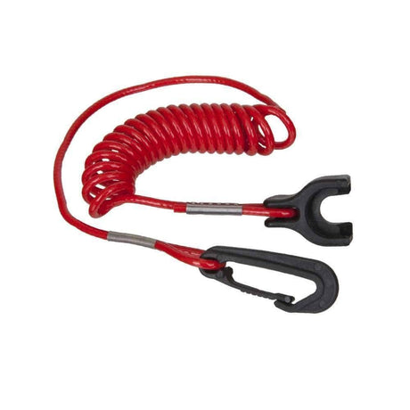 Sierra Not Qualified for Free Shipping Sierra Ignition Lanayard #MP28890