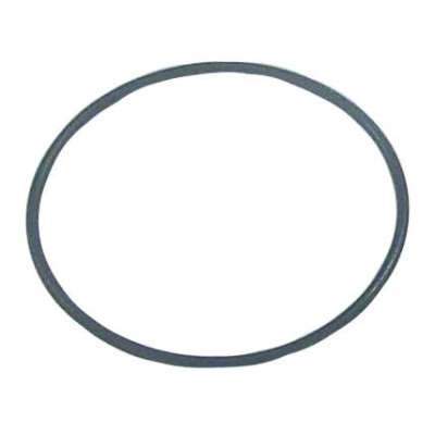 Sierra Not Qualified for Free Shipping Sierra O-Ring #18-7428