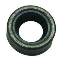 Sierra Not Qualified for Free Shipping Sierra Oil Seal #18-2022