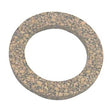 Sierra Not Qualified for Free Shipping Sierra Thermostat Gasket 2-pk #18-0929-9