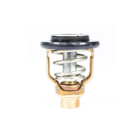 Sierra Not Qualified for Free Shipping Sierra Thermostat Yamaha #18-3636