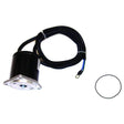 Sierra Not Qualified for Free Shipping Sierra Tilt/Trim Motor #18-6781