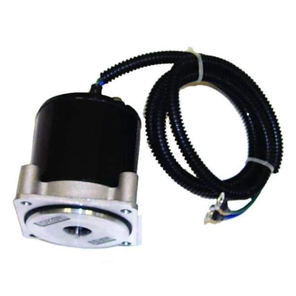 Sierra Not Qualified for Free Shipping Sierra Tilt/Trim Motor #18-6783