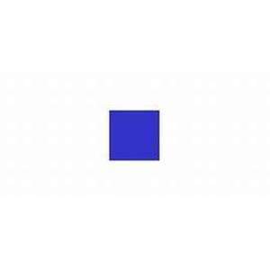Taylor Made Qualifies for Free Shipping Taylor Made Super Gard Inflatable Vinyl Fenders 10.5" x 30" Blue #951128