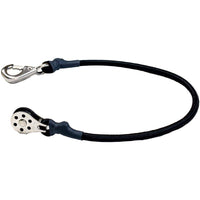 Tigress Qualifies for Free Shipping Tigress 16