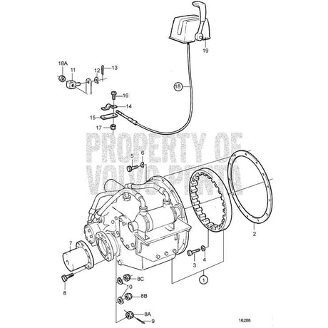 Volvo Penta Qualifies for Free Shipping Volvo Penta Nut #950379