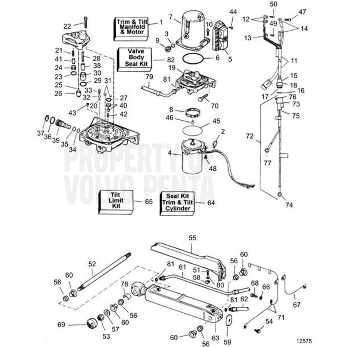Volvo Penta Qualifies for Free Shipping Volvo Penta Screw #3852081