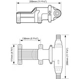 Whale Qualifies for Free Shipping Whale Gulper Grouper MK2 12V #BP4672
