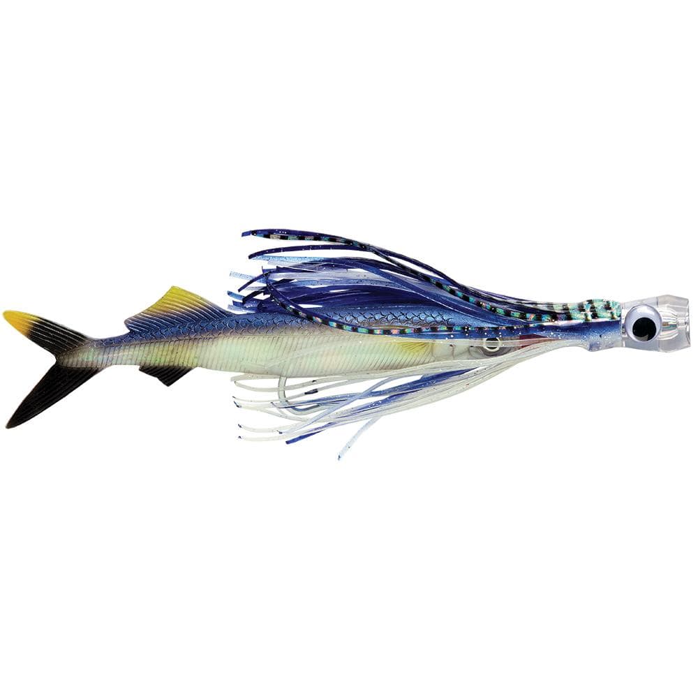 Williamson Qualifies for Free Shipping Williamson Live Ballyhoo Combo 10.5" Natural Ballyhoo #BHCR10NTB