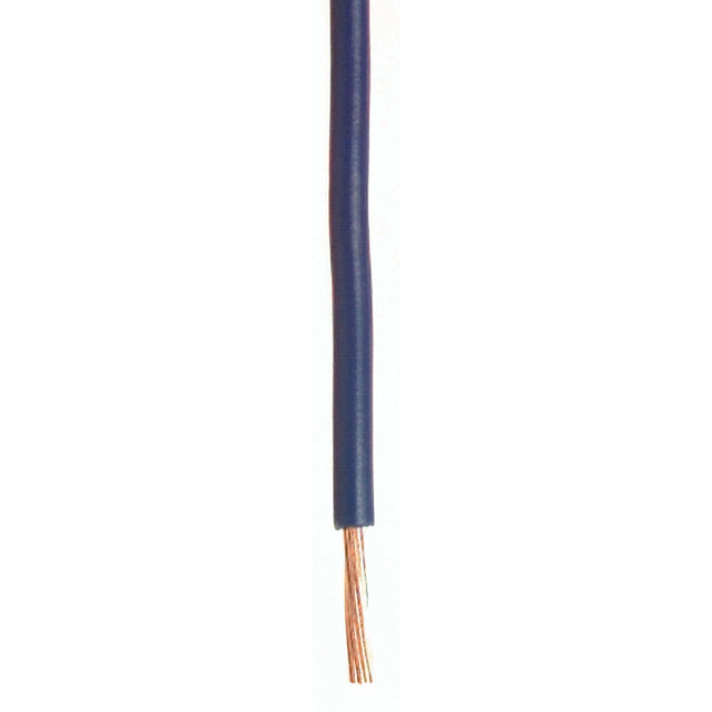 Wirthco Qualifies for Free Shipping Wirthco Plastic Primary 10 AWG Wire Single Conductor 500' Blue #81055