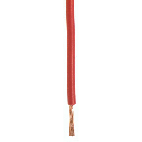Wirthco Qualifies for Free Shipping Wirthco Plastic Primary 10 AWG Wire Single Conductor 500' Red #81058