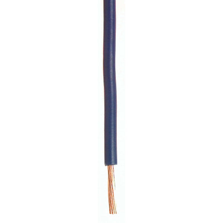 Wirthco Qualifies for Free Shipping Wirthco Plastic Primary 12 AWG Wire Single Conductor 100' Blue #81062