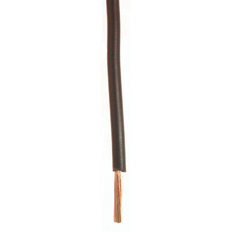 Wirthco Qualifies for Free Shipping Wirthco Plastic Primary 14 AWG Wire Single Conductor 100' Brown #81076