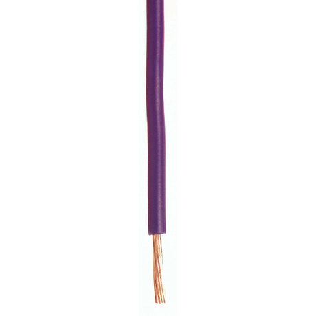 Wirthco Qualifies for Free Shipping Wirthco Plastic Primary 14 AWG Wire Single Conductor 100' Purple #81082