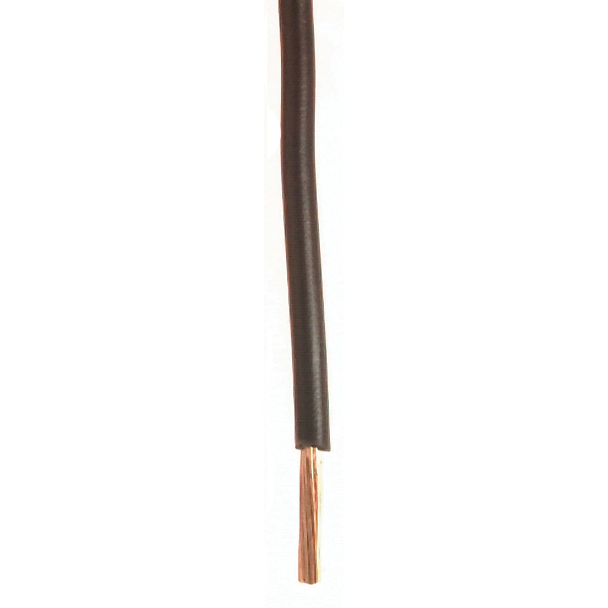 Wirthco Qualifies for Free Shipping Wirthco Plastic Primary 16 AWG Wire Single Conductor 100' Brown #81100